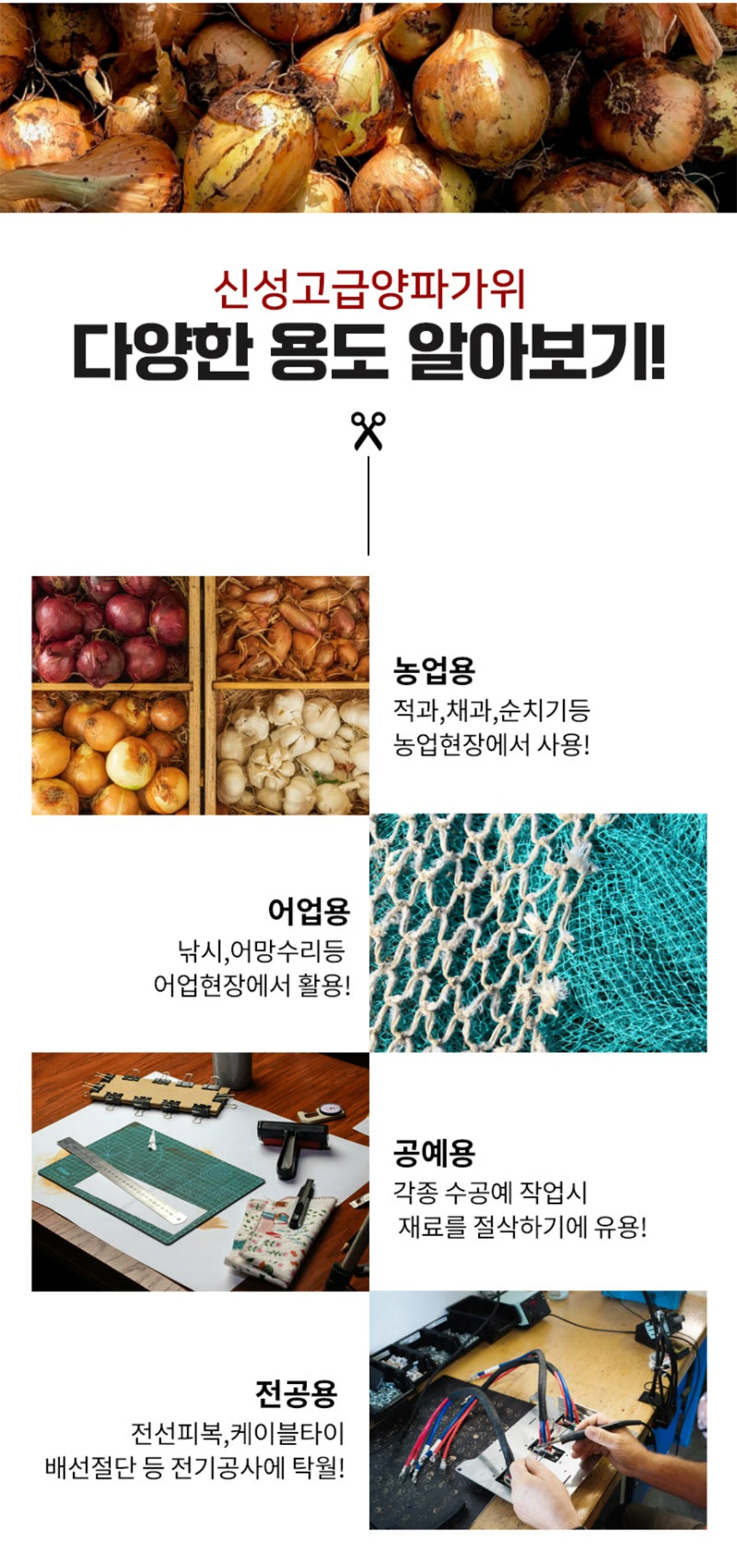 Agricultural onion scissors usage2 Agricultural onion scissors usage2